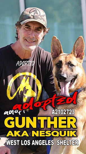 Gunther, adopted from the West LA Shelter