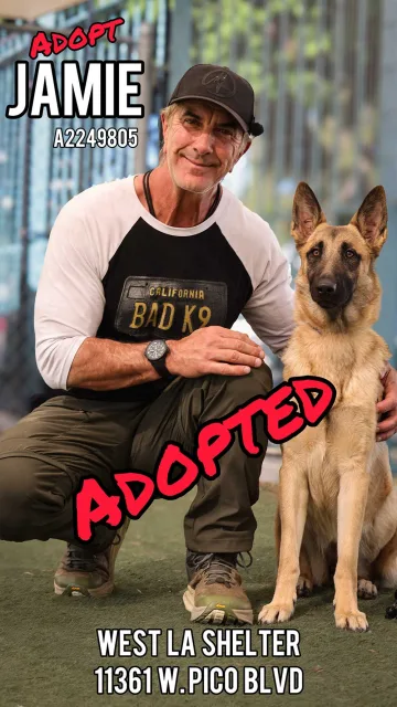 Jamie, adopted from the West LA Shelter
