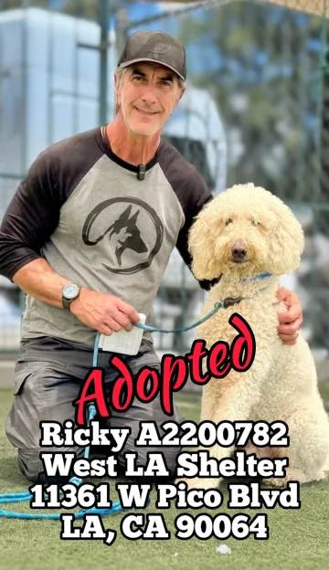 Ricky, adopted from the West LA Shelter