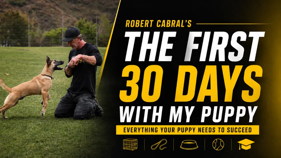 The First 30 Days With My Puppy