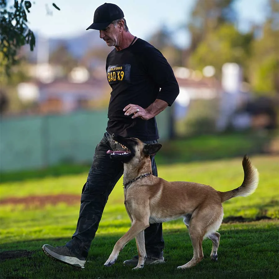 Robert Cabral training a Malinois