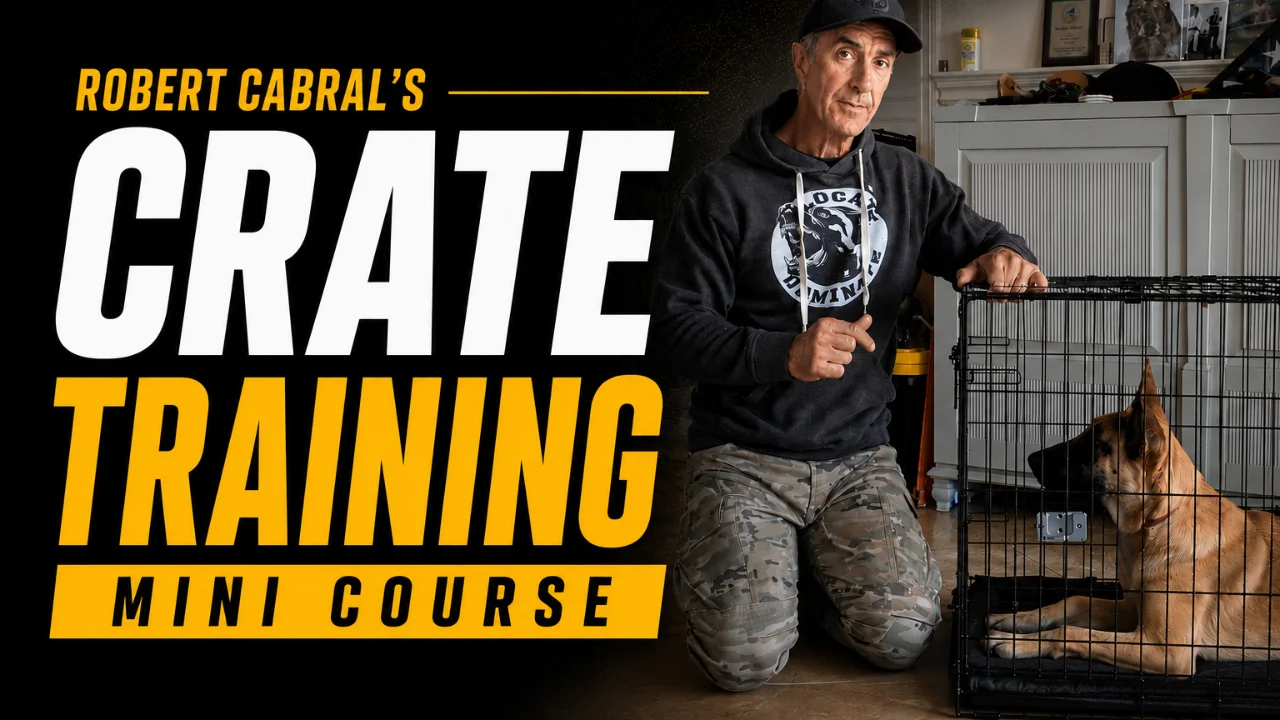 Crate Training Course