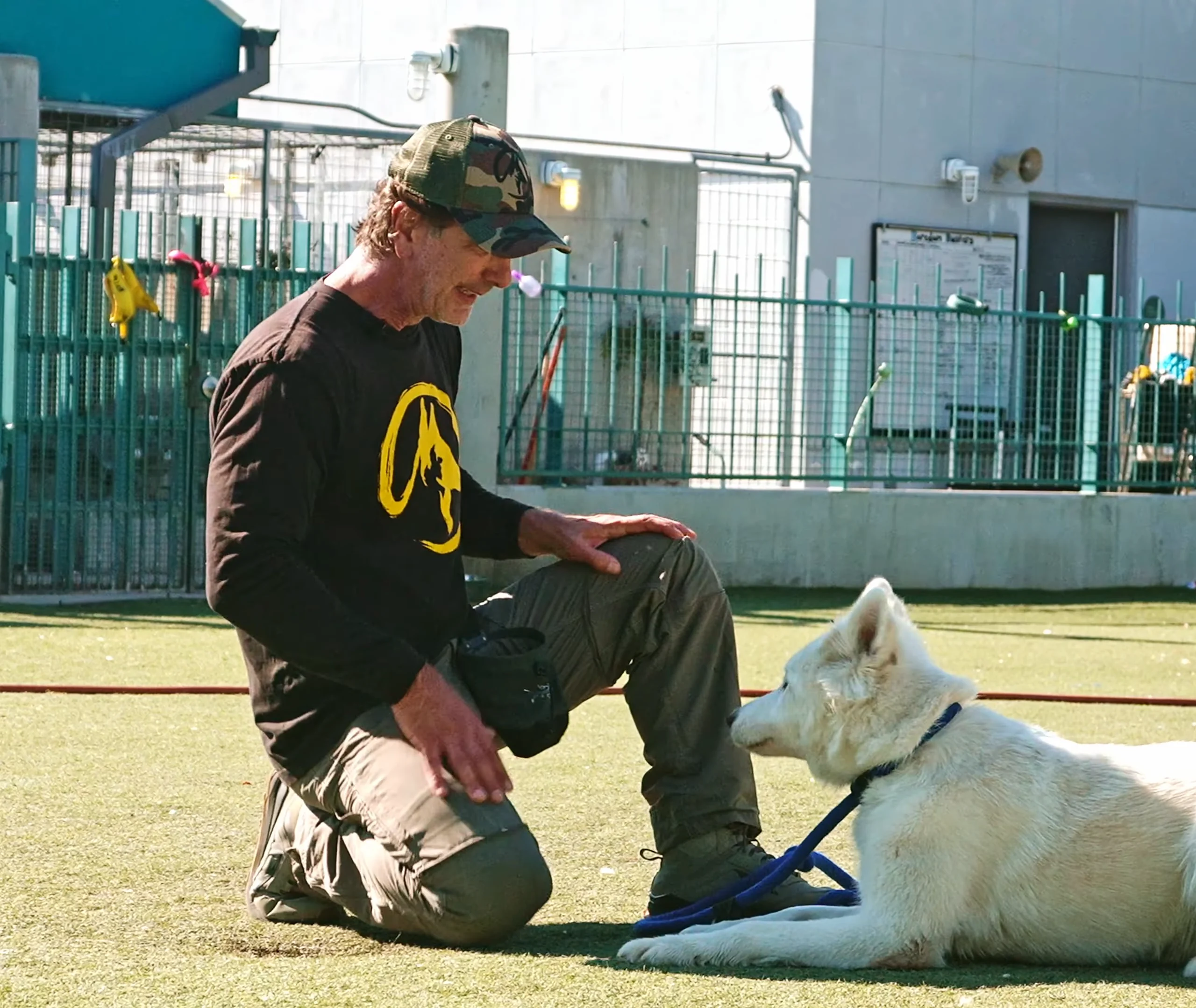 Robert Cabral working with a shelter dog
