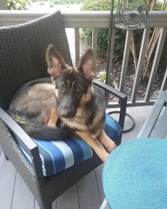 Coco