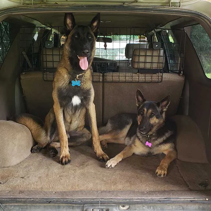 Clara G with Diesel & Dusty