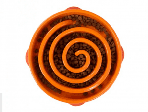 Slow Feed Bowls for a Safer Feeding Experience for Your Dog
