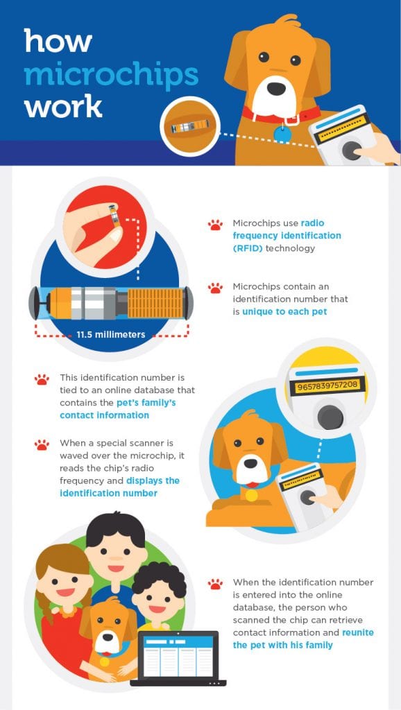 How Microchips Work